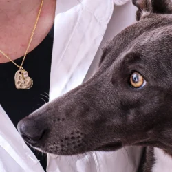 Close-up of a person wearing a white shirt and a gold necklace with a heart-shaped pendant featuring a paw print and a small crystal. A greyhound dog with grey fur is resting its head on the person's chest, facing the camera.