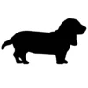 Basset Hound