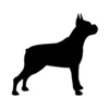 Boxer