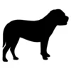 Bullmastiff