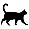 Cat 1