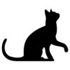Cat 14