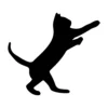 Cat 15