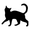 Cat 16