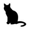 Cat 17