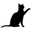 Cat 18