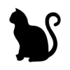 Cat 3