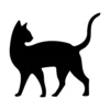 Cat 5