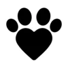 Cat 8