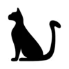 Cat 9