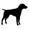 Pointer