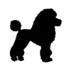 Poodle
