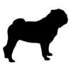 Shar Pei