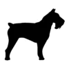 Schnauzer