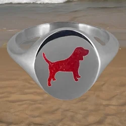 ashes ring, cremation, pet loss, memorial jewellery, australia