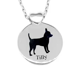 ashes pendant cremation, pet loss, memorial jewellery