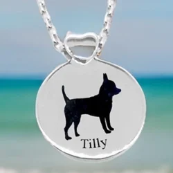 ashes pendant cremation, pet loss, memorial jewellery