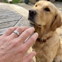 sterling silver unisex ring band style with your pets pawprints shown on mans hand with dog